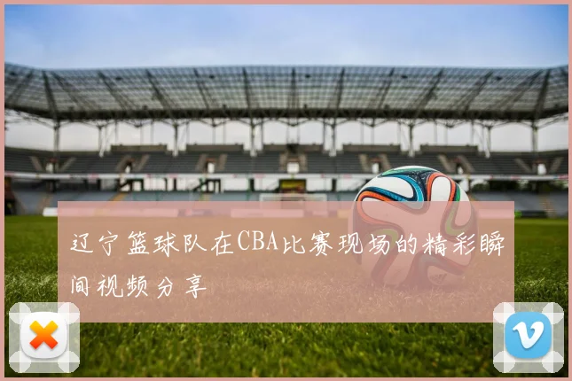 辽宁篮球队在CBA比赛现场的精彩瞬间视频分享