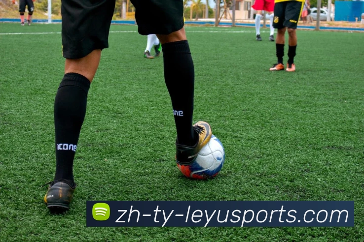 乐鱼体育品牌故事